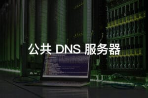 公共 DNS 服务器